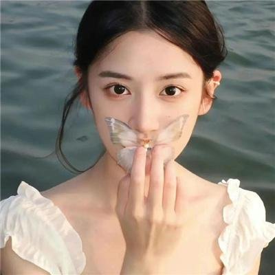 止战之殇